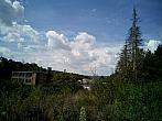 Borovina