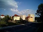 Borovina