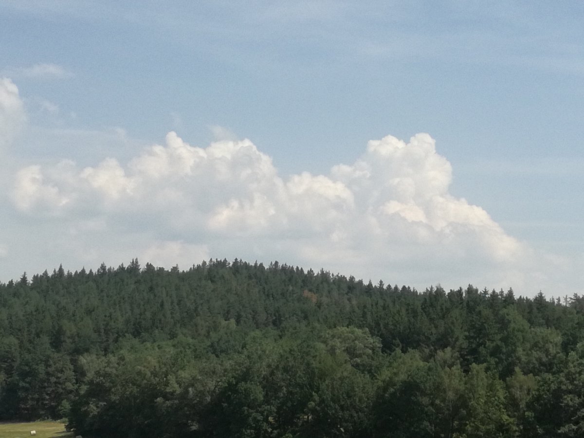 Zajíčkov