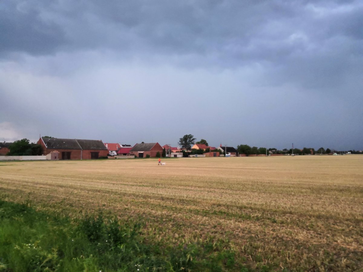 Císařov