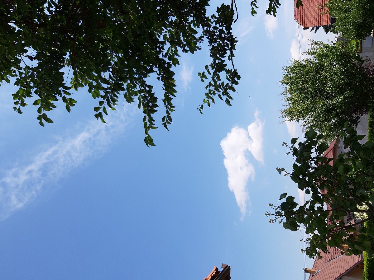 Bítovany