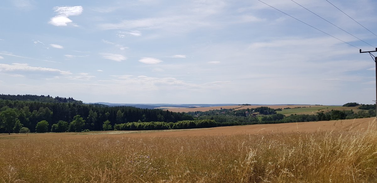 Břasy