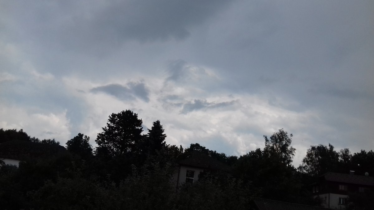 Olešná