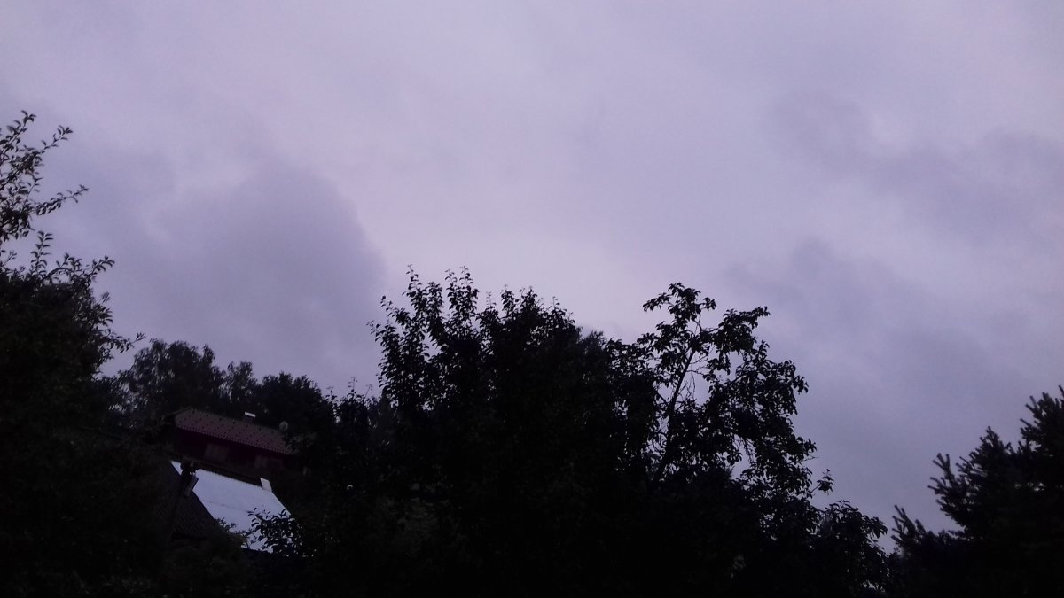 Olešná