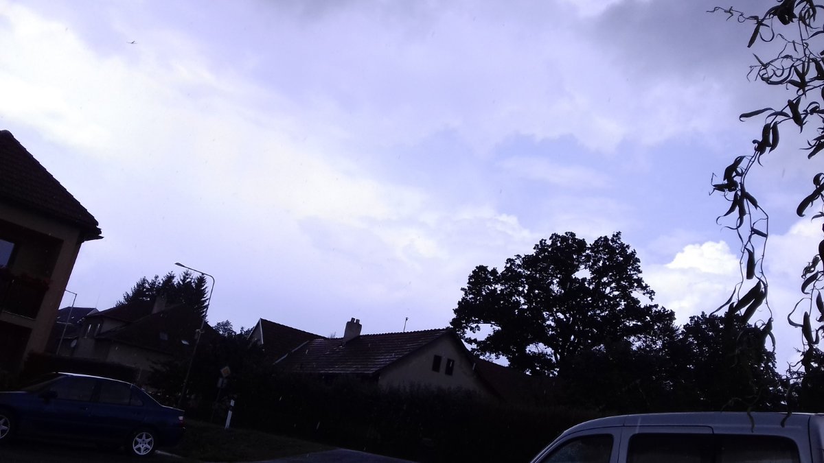 Olešná