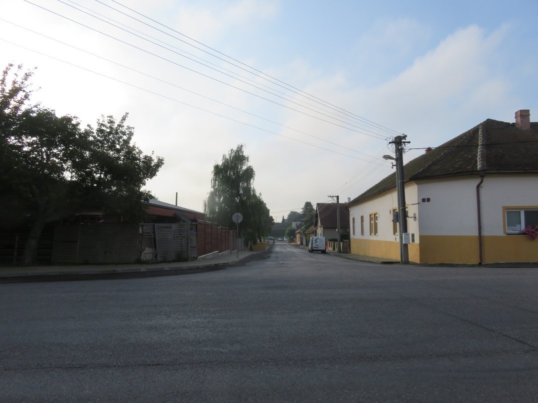 Třibřichy