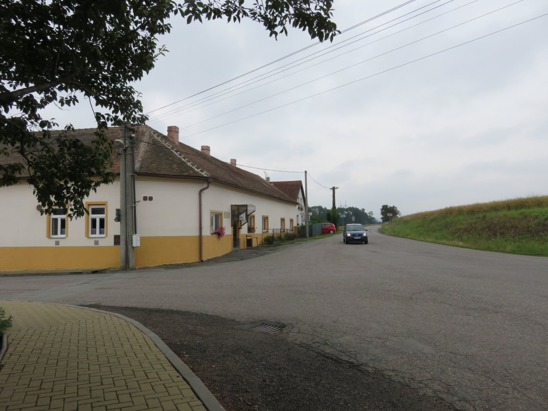 Třibřichy