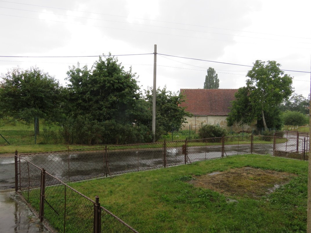 Třibřichy