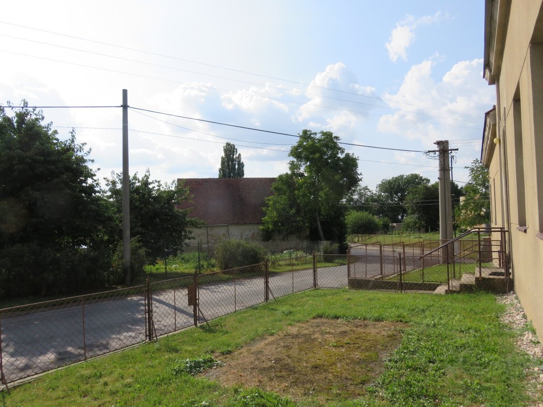 Třibřichy