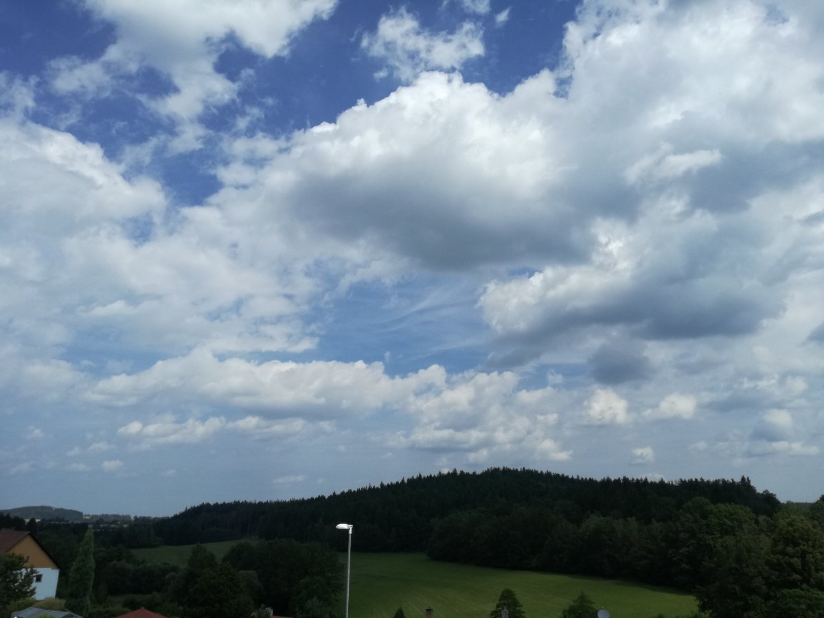 Zajíčkov