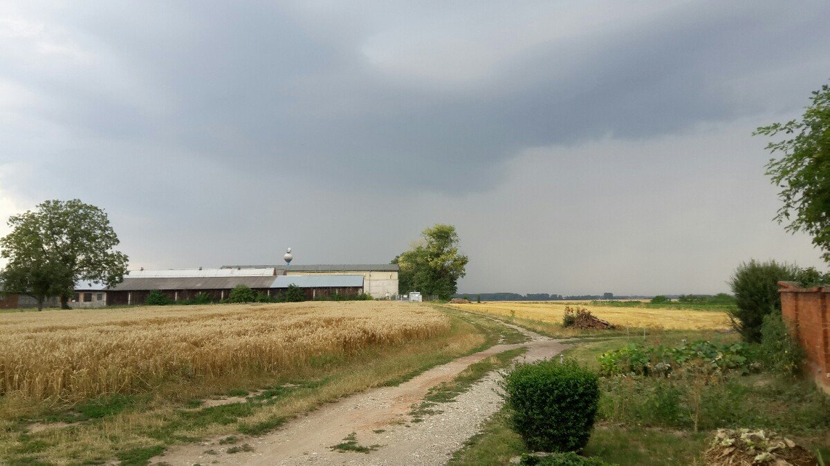 Věrovany