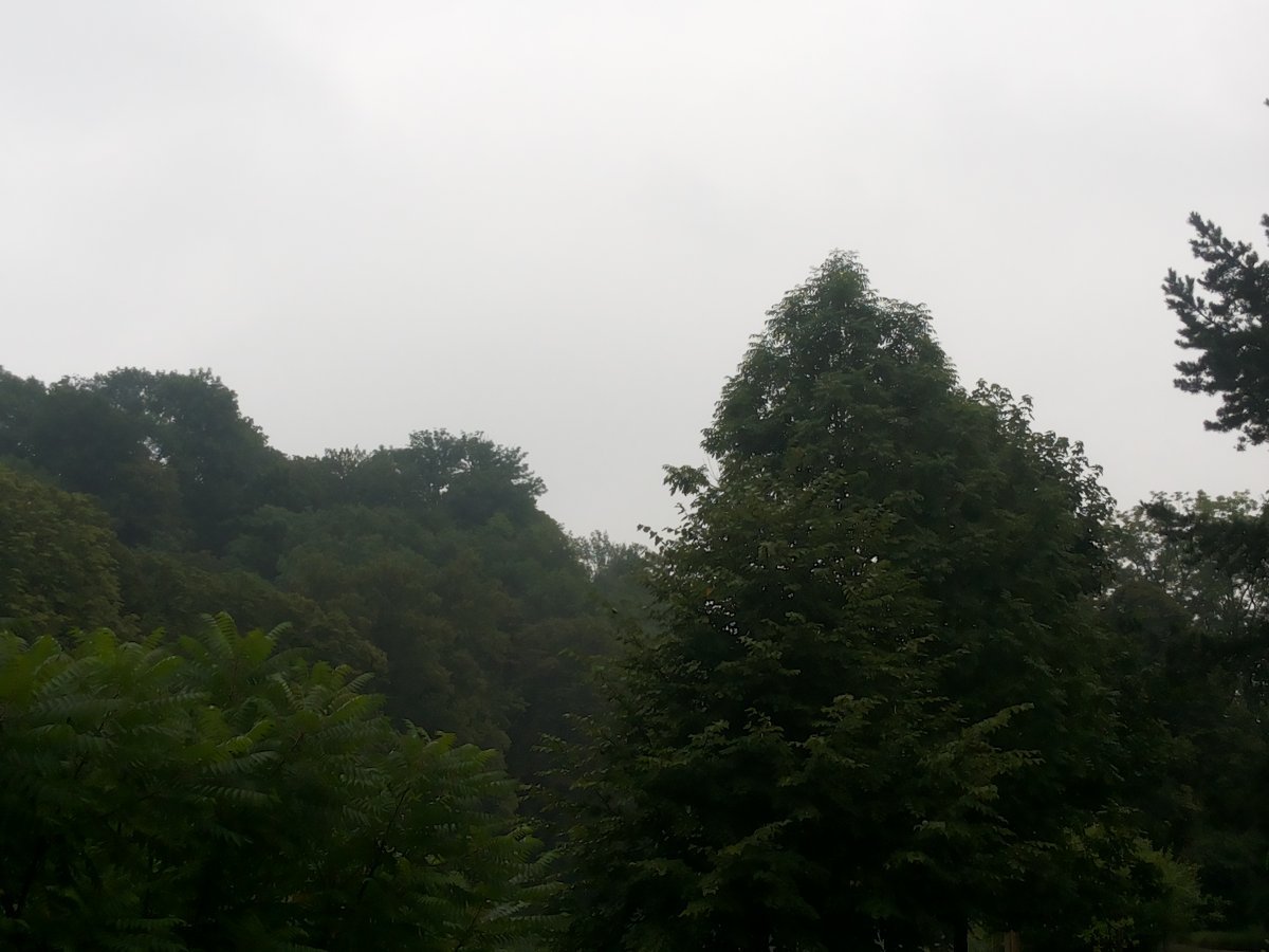 Český Těšín