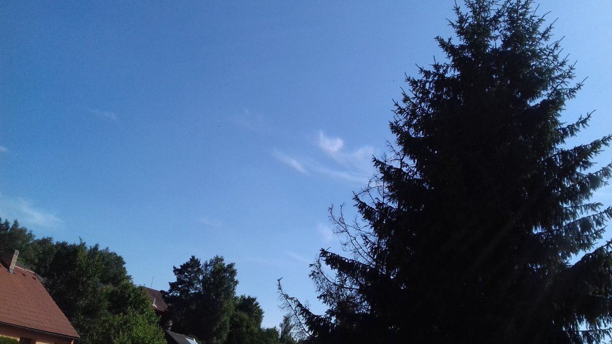 Olešná