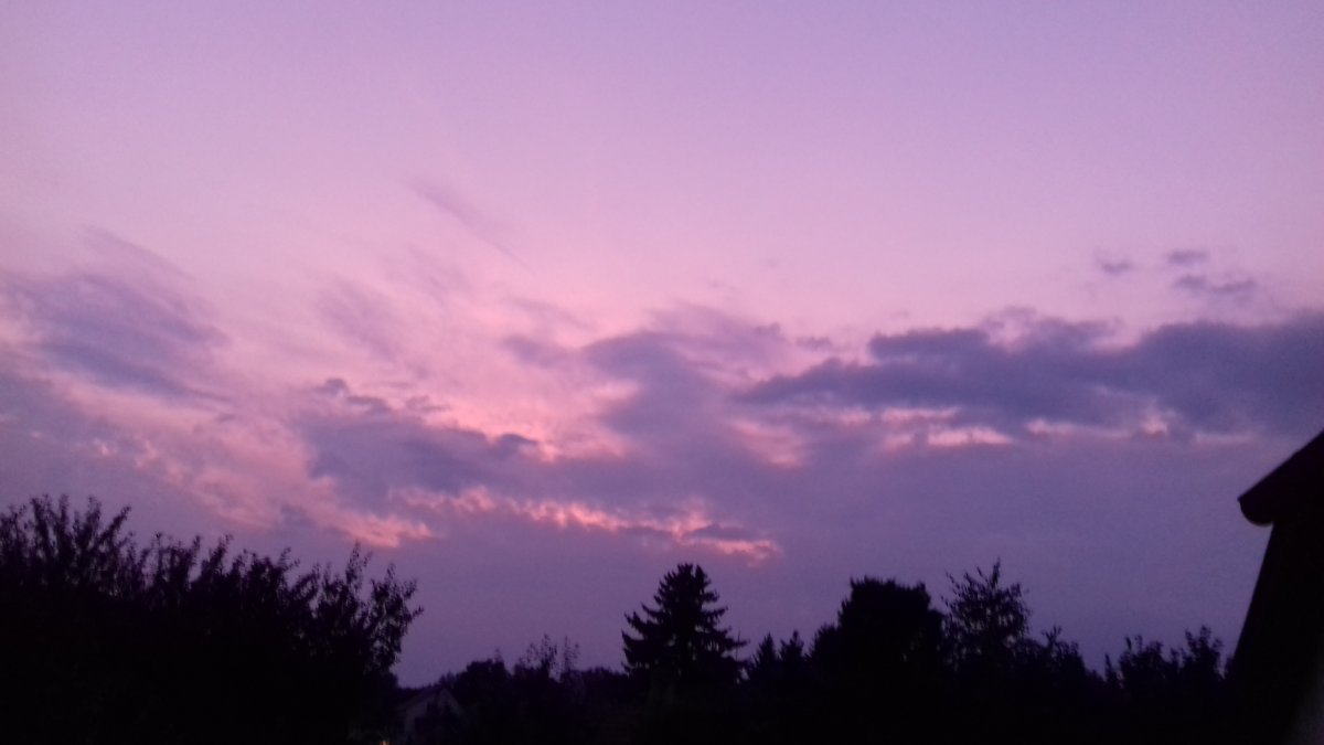 Olešná