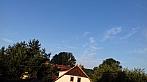 Olešná