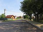 Třibřichy