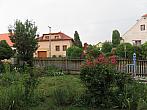 Třibřichy