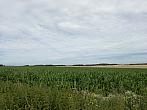 Hostákov