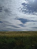Pacov