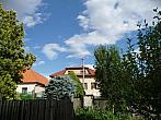 Třibřichy