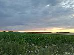 Hostákov