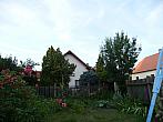 Třibřichy