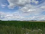 Hostákov