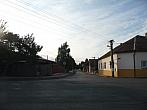 Třibřichy