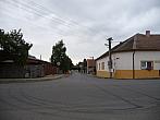 Třibřichy