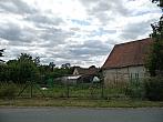 Třibřichy