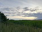 Hostákov