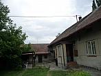 Třibřichy