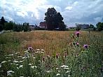 Třebíč-Borovina