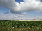 Hostákov