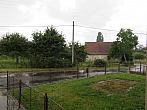 Třibřichy