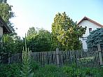 Třibřichy