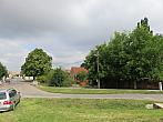 Třibřichy