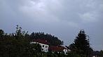 Olešná