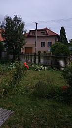 Třibřichy