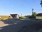 Třibřichy