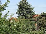 Neratovice