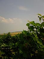 Moravský Žižkov