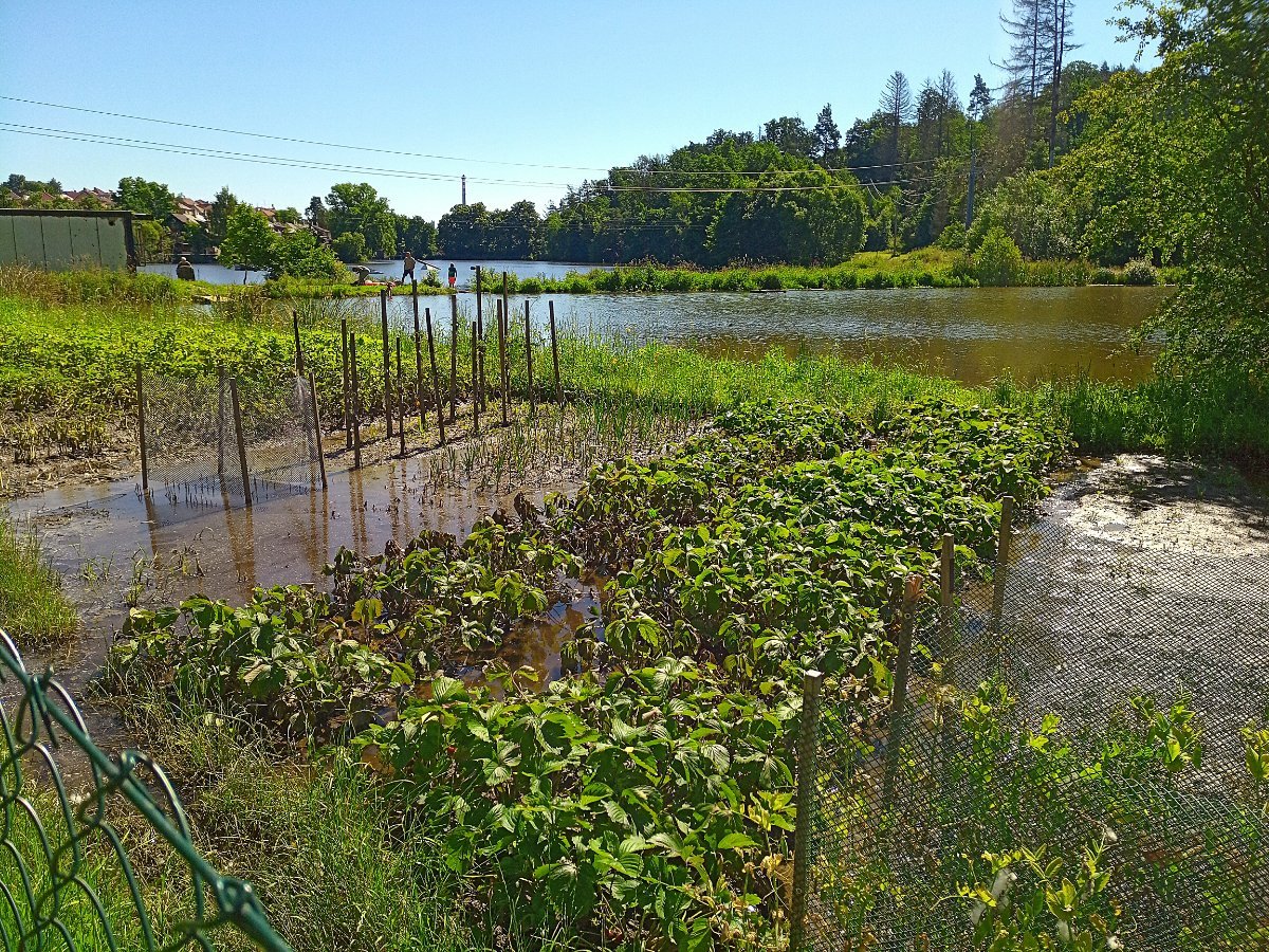 Třebíč-Borovina
