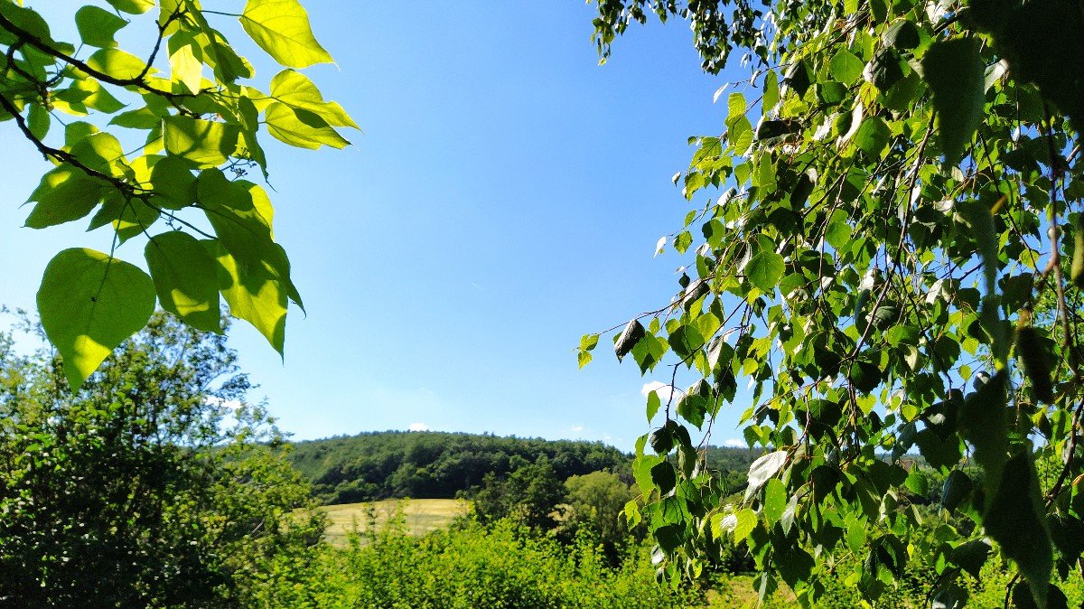 Habrovany