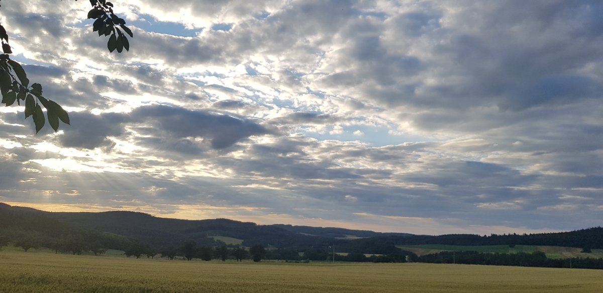 Plískov