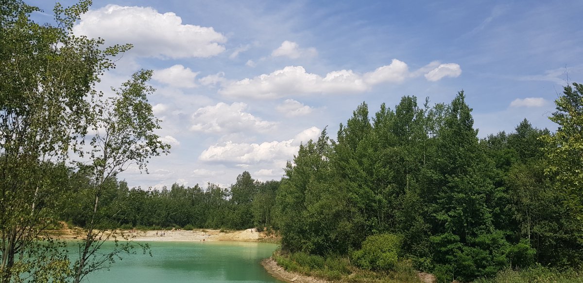 Břasy