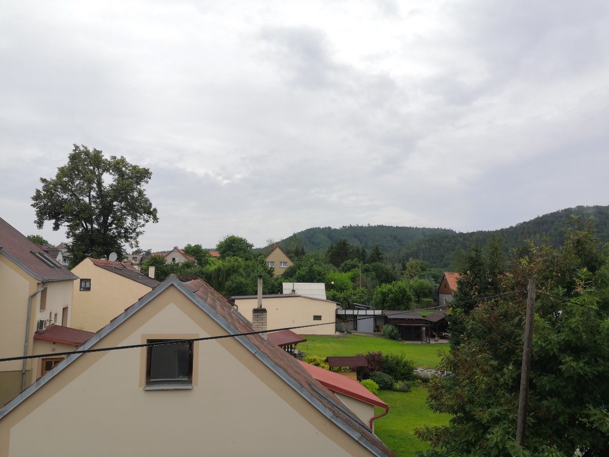 Chrustenice