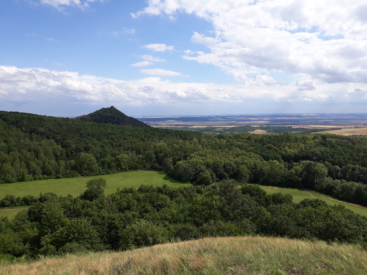 Podsedice