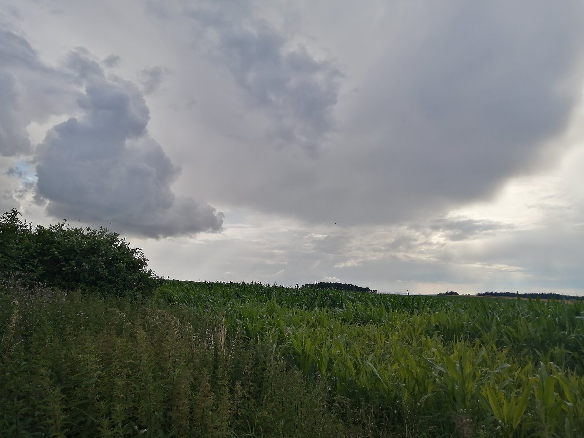 Hostákov