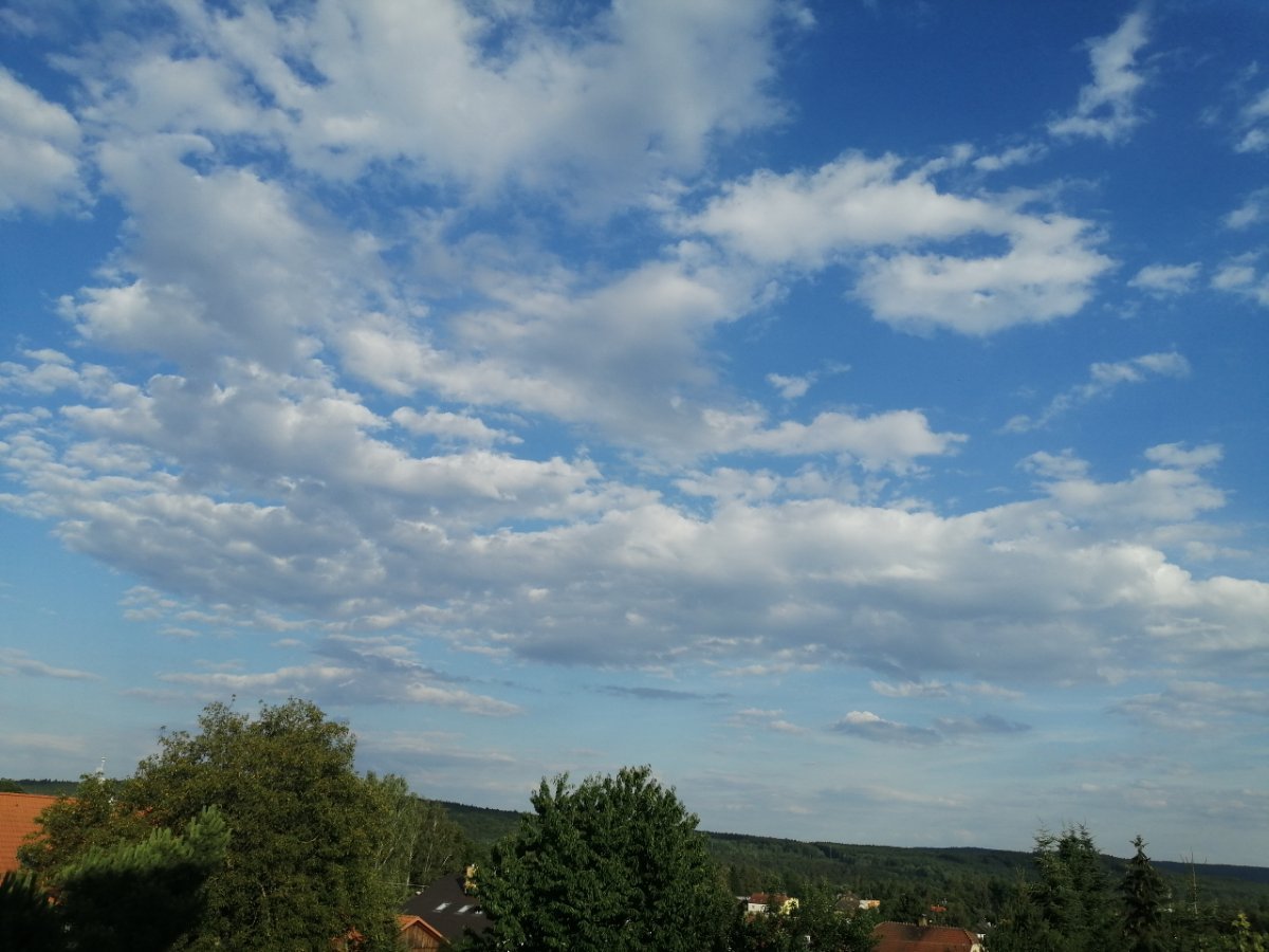 Dýšina